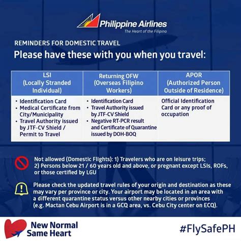 philippine domestic flights|Travel Basics .